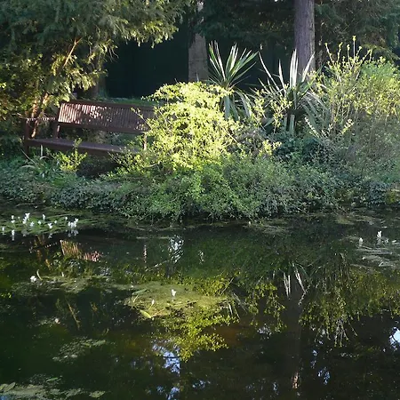 Bed & Breakfast La Pluie De Roses