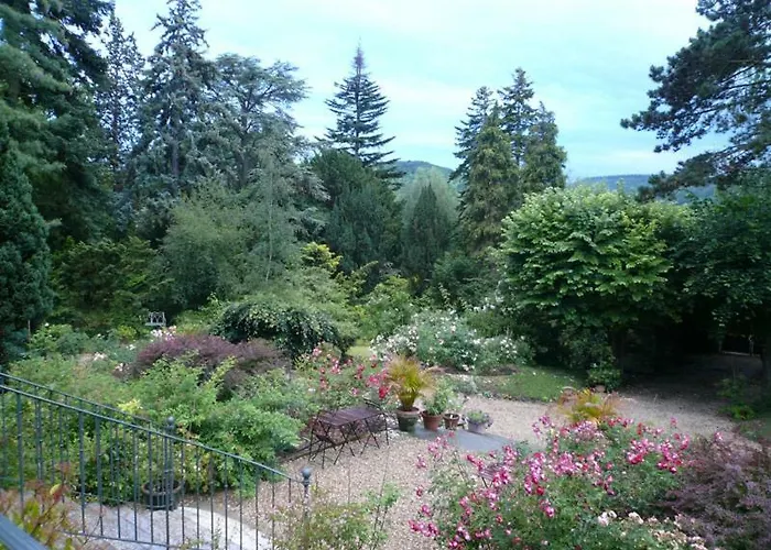 La Pluie De Roses Giverny